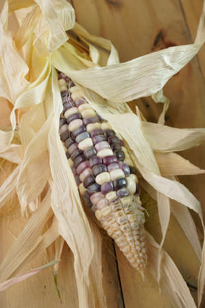 Purple corn on sack and wooden table with black backgroundの写真素材