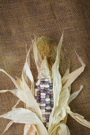Purple corn on sack and wooden table with black background
