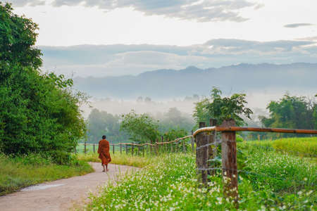 Unidentified monk walks down the hill in the morningの写真素材