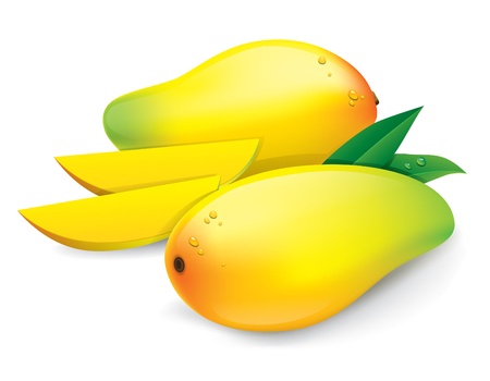 Mango, Isolated On White Backgroundのイラスト素材