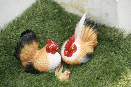Chicken Familyの写真素材
