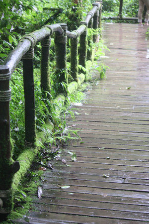 Mossy Bridgeの写真素材