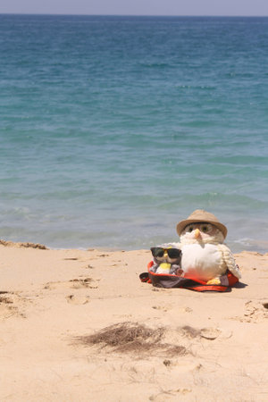 Owls on vacationの写真素材