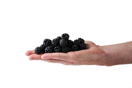 blackberry in a man's hand on a white background. Isolateの写真素材