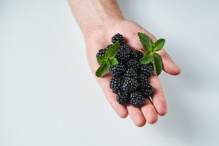blackberry in a man's hand on a light backgroundの写真素材