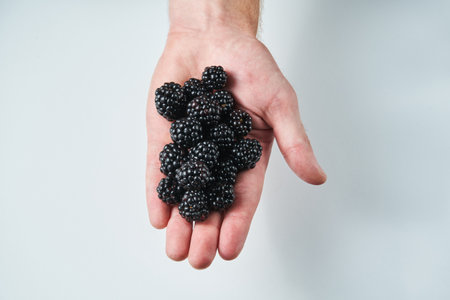 blackberry in a man's hand on a light backgroundの写真素材