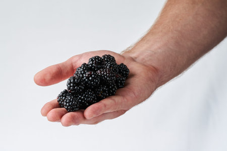 blackberry in a man's hand on a light background