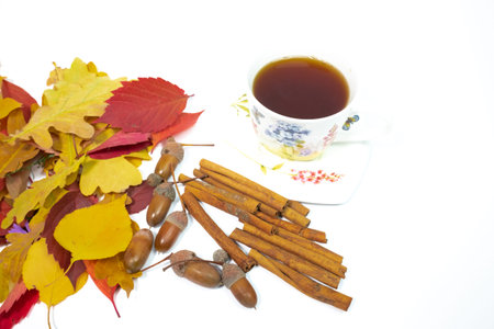 autumn bouquet. autumn background. screensaver autumn. beautiful colored leaves. yellow autumn leaves on a white background.の写真素材