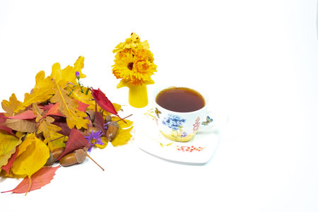 autumn bouquet. autumn background. screensaver autumn. beautiful colored leaves. yellow autumn leaves on a white background.の写真素材