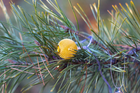 New Year's Holidays. Festive mood. Christmas and New Year. Decoration for the Christmas tree. Toys...