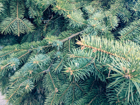 New Year's Holidays. Festive mood. Christmas and New Year. Decoration for the Christmas tree. Toys...