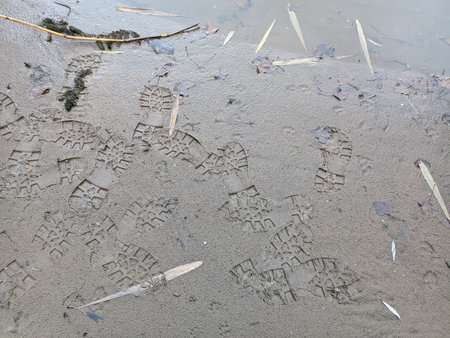 footprints in the sand. footprints in the sand. prints on the shore. shoe mark. footprints in the...