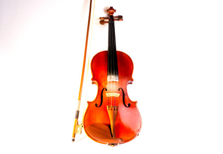 stringed musical instruments. violin and bow. playing the violin. music. retro vintage violin