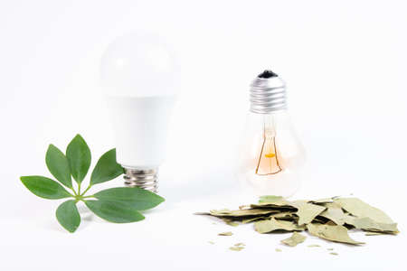 electric bulbs. Set of electric lamps, tungsten, Edison, fluorescent and led. Isolated on a transparent background. Old light bulb. Light bulb lampsの写真素材
