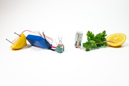 electric bulbs. Set of electric lamps, tungsten, Edison, fluorescent and led. Isolated on a transparent background. Old light bulb. Light bulb lampsの写真素材