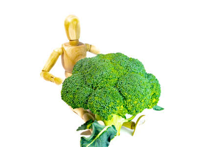 green broccoli. Green winter fresh organic superfood - Kale green cabbage, broccoli. Fresh broccoli isolated on white backgroundの写真素材