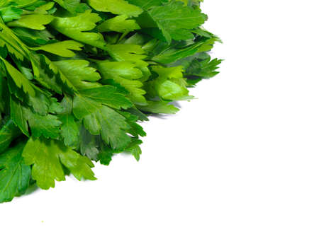 greenery. parsley. salad. Dill. Dill and parsley. greenery. Dill, parsley background. Green on market shelf. Herbal and salad textureの写真素材