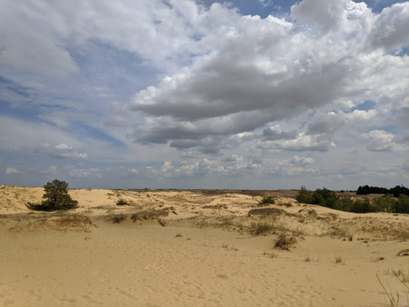 desert. white sand. road in the desert. dunes. grains of sand. white quartz sand.の写真素材