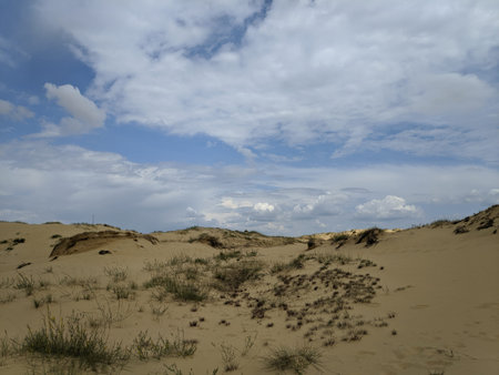 desert. white sand. road in the desert. dunes. grains of sand. white quartz sand.の写真素材