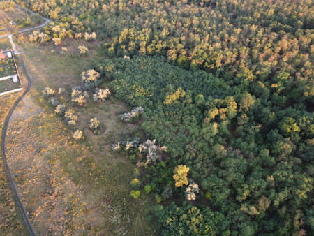 cityscape from drone. houses from above. View of the city from a bird's eye view. drone city. aerial photography. Drone cityscape. Ukraineの写真素材