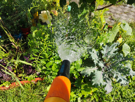 Watering a tree. Woman gardener with hose for watering the plants and trees in home garden. Woman arms are using water spraying hoses. Injection of water from rubber tube. Watering the plants backyardの写真素材