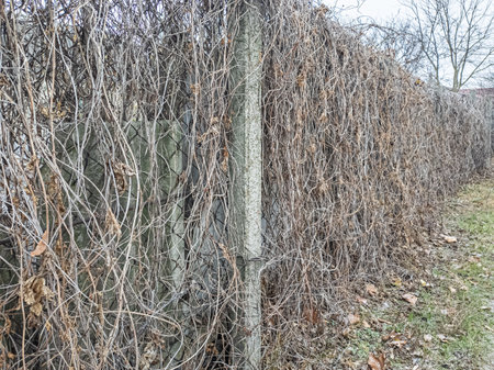 iron fence made of mesh. iron and concrete fence. man walking along an old fence.の写真素材