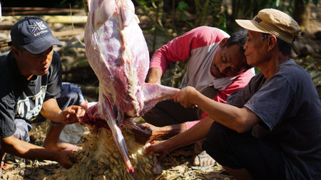 Yogyakarta, Indonesia - August 11th 2019: Eid al-Adha celebration. Muslim people help each other in...