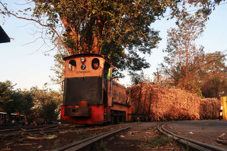 Yogyakarta, INDONESIA - July 27, 2020: Sugar cane carriage is ready to be taken to Madukismo sugar factory, Yogyakarta. The old yellow locomotive drove slowly pulling the sugar cane trainのeditorial素材