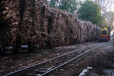 Yogyakarta, INDONESIA - July 27, 2020: Sugar cane carriage is ready to be taken to Madukismo sugar factory, Yogyakarta. The old yellow locomotive drove slowly pulling the sugar cane trainのeditorial素材