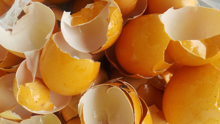 Chicken egg shell fragments. Brown and white inside filled the frame