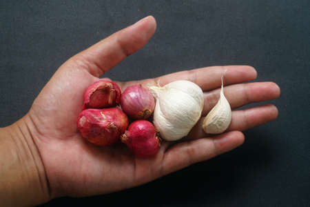 Some shallots and garlic on the palms of menの写真素材