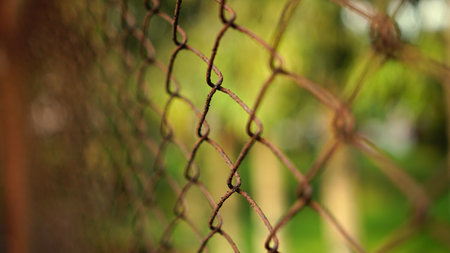 Rusted wire fence, focus selected. Most area blurの写真素材