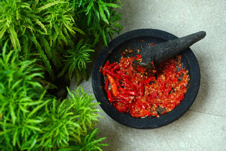Red chili sauce on a stone mortar and pestle. There is greenery besideの写真素材