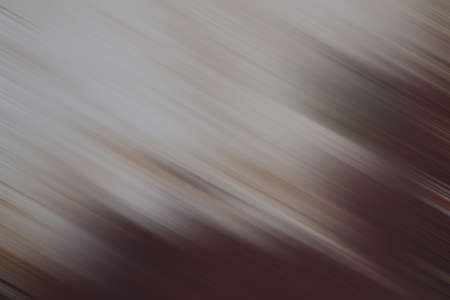 Abstract motion background with white brown and black colorの写真素材