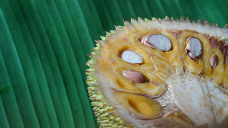 Slices of jackfruit on a banana leaf background. Focus selectedの写真素材