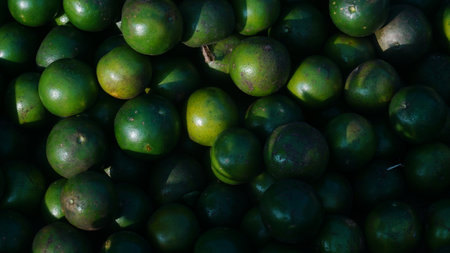 Defocus photo - Pile of green citrus fruits. Some in the sun, some in the darkの写真素材