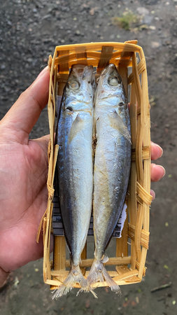Pindang fish in a bamboo basket held by hand. Focus selected