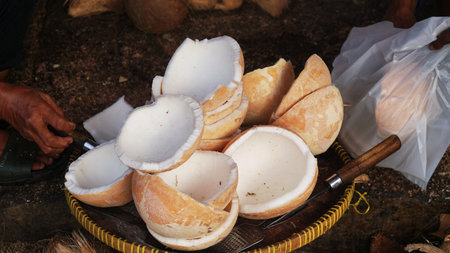 Peeled coconuts in the traditional market. Many pieces of coconut for making virgin oil. Focus selectedの写真素材