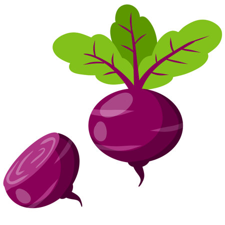 Beet. Red root vegetable. Set of Natural product. Harvest. Rural Plant and food. Healthy diet....