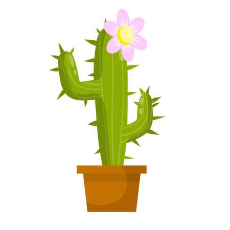 Cactus. Mexican green plant with spines. Element of the desert and southern landscape. Flowering succulents in a brown pot. Houseplant White flower. Flat cartoonのイラスト素材