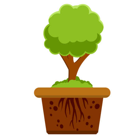 Root system of tree. Nature and forest. Layer of earth and soil. Plant growth. Summer season. Botany and forestry. Brown ground. Flat cartoon illustrationのイラスト素材