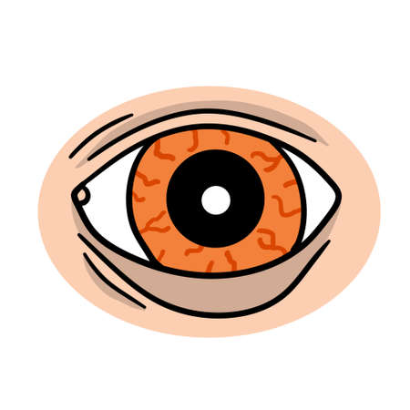 Eye. Human organ of vision. Tired Look and painful look. Eyelid and red eyeball with veins. See and watch. Concept insomnia. Cartoon illustration isolated on whiteのイラスト素材