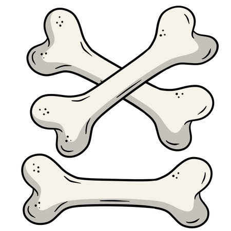 Human bone. Set of skeleton Elements.