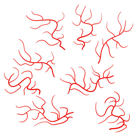 Blood and capillaries. Red line. Element of the skin and eyes. Flow and bleeding. Flat illustrationのイラスト素材