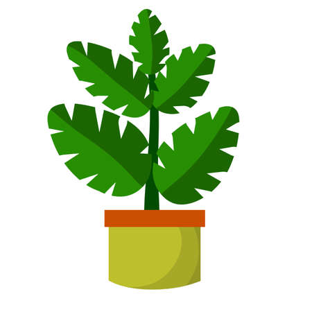 Home plant in pot. Large green leaves.Element of decoration and gardening. Hobbies and flora. Cartoon flat illustration.のイラスト素材
