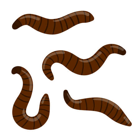 Leech. Set of bloodsucking insects. Red dangerous worms. Nasty slimy animals of rivers and lakes. Cartoon flat illustration isolated on whiiteのイラスト素材