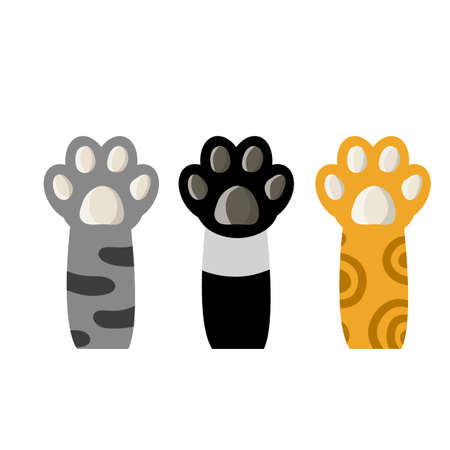 Set of different paw. Cat's hands of different colors. White, black, red, gray animal with fur. Cartoon flat illustration. Spots and stripes. Collection of breeds of Petsのイラスト素材