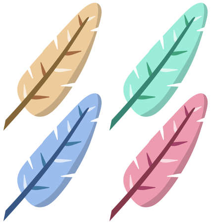 Set of bird feathers.のイラスト素材