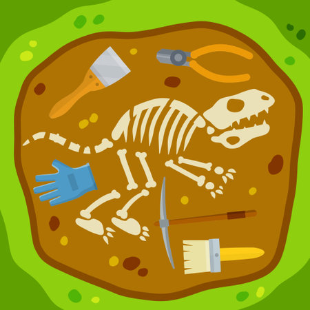 Dinosaur skeleton. Bones of prehistoric lizard. Set of archaeologist tools. Historical finds and excavations. Fla cartoonのイラスト素材