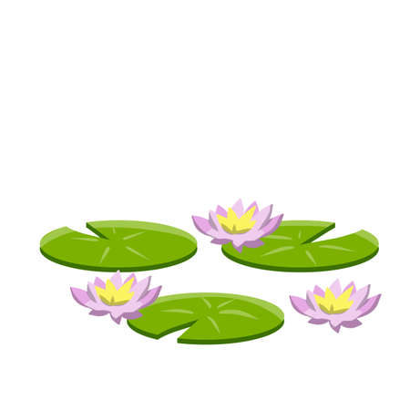 Nenuphars. Water lily. Plant on lake and reservoir. Big green leaf. Element of nature, forest and wild life. Swamp Pink flowers. Flat cartoonのイラスト素材